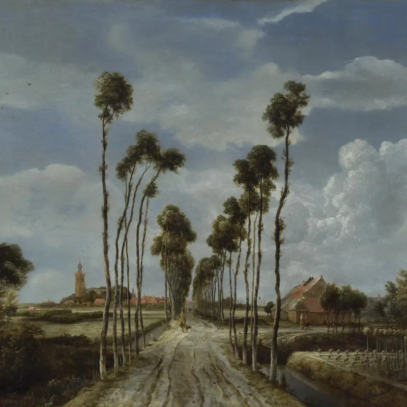 The Avenue at Middelharnis