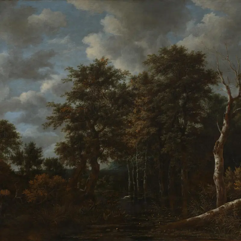 A Pool surrounded by Trees