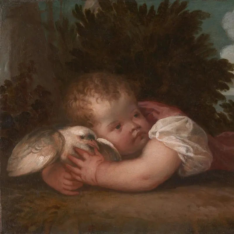 A Boy with a Bird